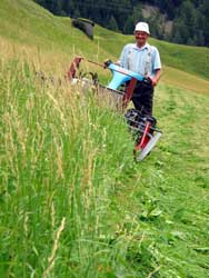 H.Oberlohr sen. beim Mähen 2005